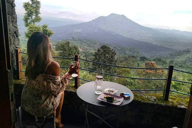 Jungle Swing - Volcano - Water Temple - Monkey Forest and Waterfall Tour - My Swing Bali: doing it for the view, not just the cost