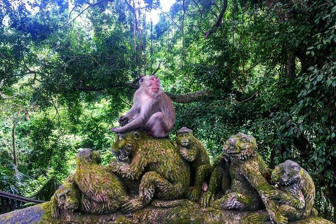Jungle Swing - Volcano - Water Temple - Monkey Forest and Waterfall Tour - Sacred Monkey Forest Sanctuary: walk with 700+ macaques