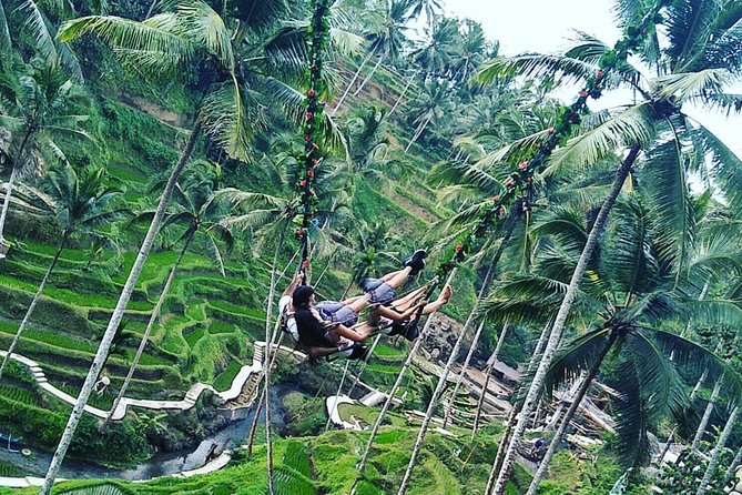 Jungle Swing & White Water Rafting Experience - What This Tour Actually Delivers in One Active Day