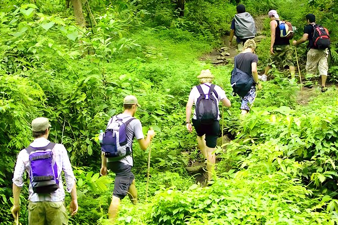 Jungle Trekking and Tamblingan Lake Canoeing in Bali Rainforest - The Jungle Trek: Cool Highland Trails and a Hindu Temple Stop