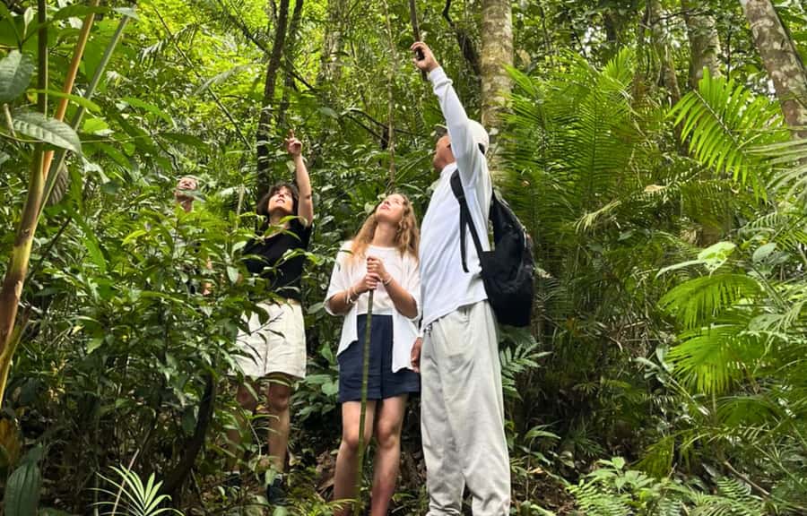 Jungle Trekking at Mt. Batukaru, scenic Waterfall & village - Key highlights to look forward to