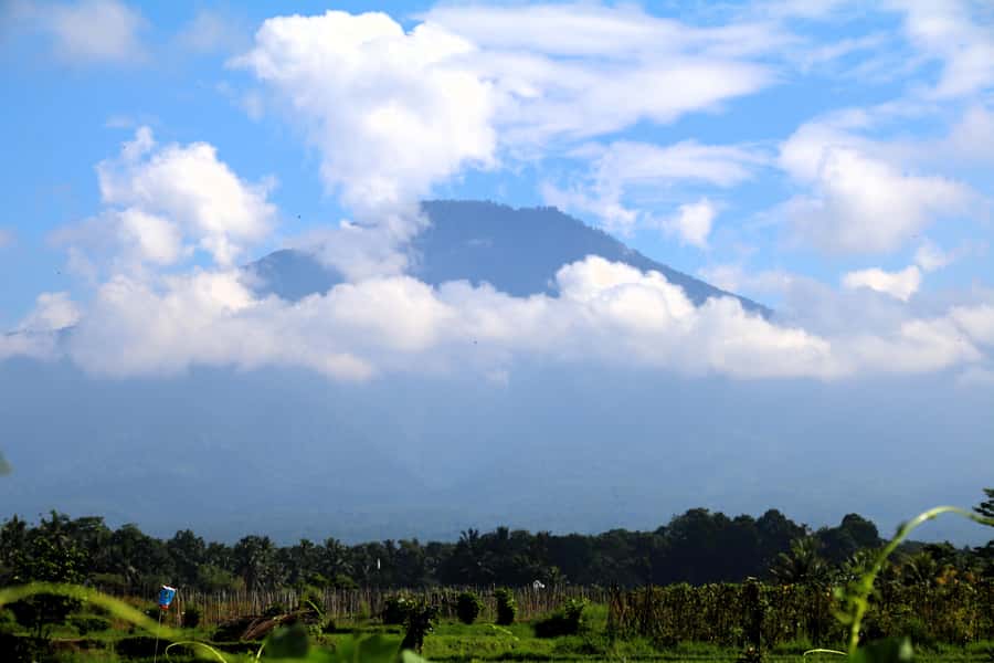 Jungle Trekking at Mt. Batukaru, scenic Waterfall & village - Belulang Hot Springs and Pengempu Waterfall for the final unwind