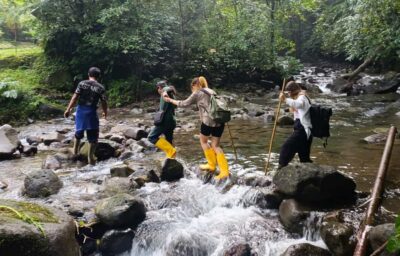 Jungle Trekking at Mt. Batukaru, scenic Waterfall & village - Pickup, road time, and how the day moves (without rushing you)