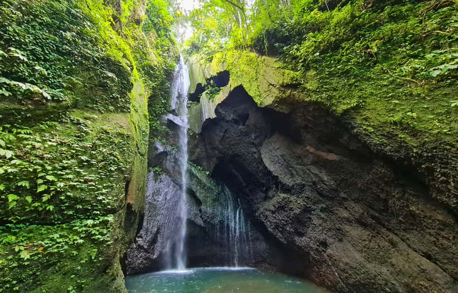 Jungle Trekking at Mt. Batukaru, scenic Waterfall & village - Balikaru farm, rice planting, and stingless Trigona bees