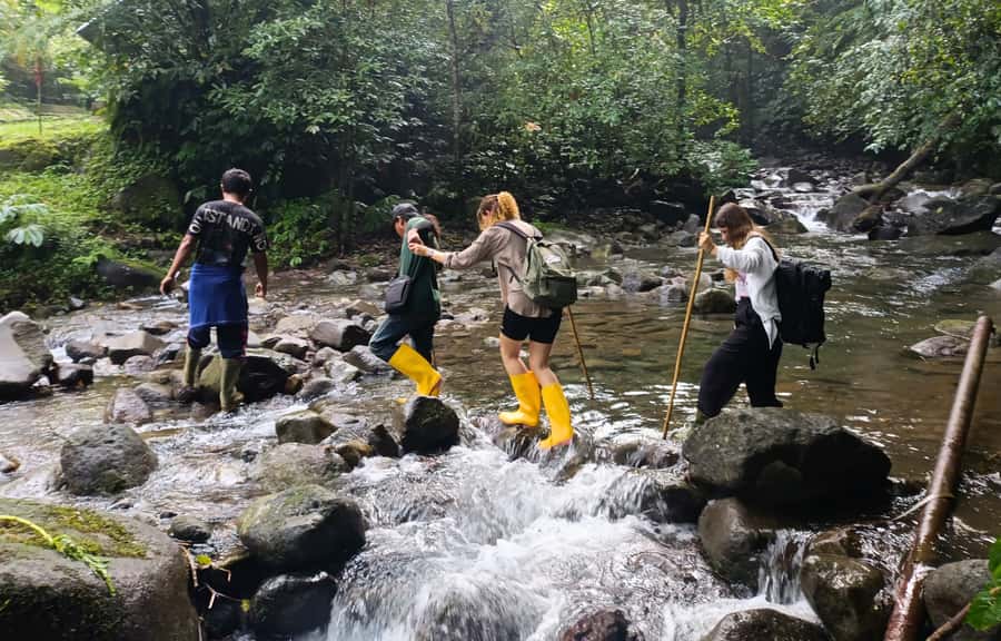Jungle Trekking at Mt. Batukaru, scenic Waterfall & village - Pickup, road time, and how the day moves (without rushing you)