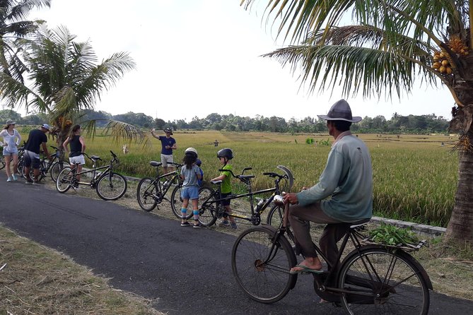 Kaba Kaba Reason for Harmony Cycling - Key highlights to look for