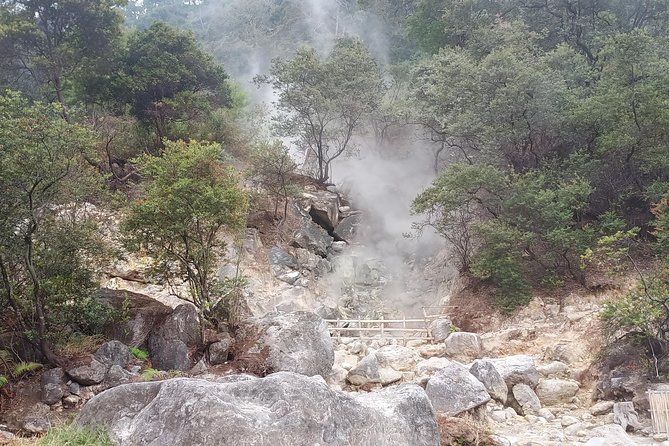 Kawah Putih tour - Day trip Ticket etc all including - Ciwidey Countryside Stop: Rice Terraces, Village Life, and a Coffee Break