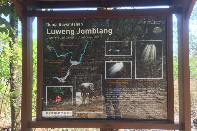 Kediwung Sunrise, Jomblang Cave, Timang Gondola Beach Day Tour - Morning Shot: Bukit Panguk Kediwung Sunrise Views