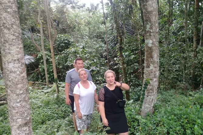 Keliki Village Tour And Rice Field Walk Including Lunch Or Dinner - Starting in Ubud: where the walk really begins