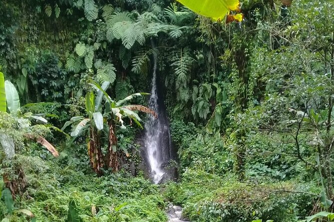Keliki Village Tour And Rice Field Walk Including Lunch Or Dinner - Keliki stop: rice fields, farmers at work, and irrigation you can actually see