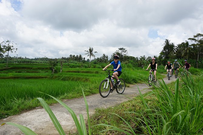 Kintamani Cultural and Nature Cycling Tour ( Manual Bike ) - Key highlights worth planning for