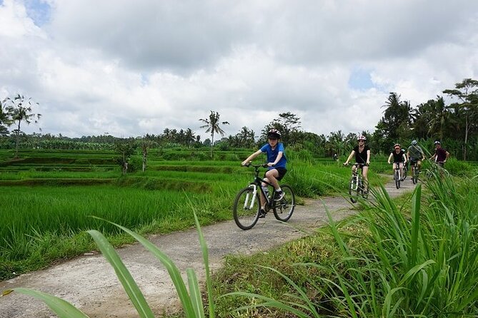 Kintamani Cultural and Nature Cycling Tour ( Manual Bike ) - When to go and how weather affects your day
