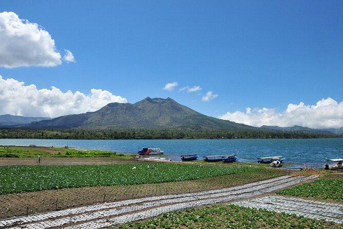 Kintamani Lake & Volcano Tour - Goa Gajah (Elephant Cave): stone carvings with temple-ground atmosphere
