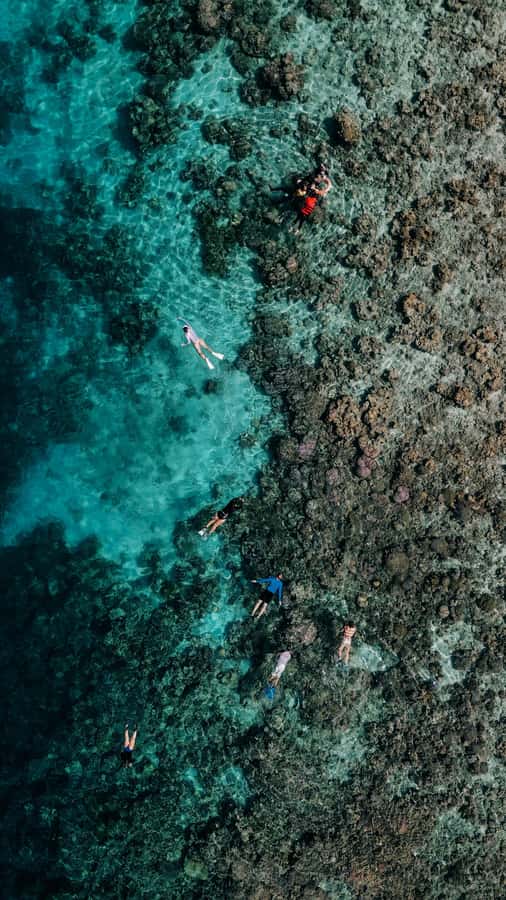 Komodo Full Day Speedboat Tour from Labuan Bajo - Manta Point Snorkeling: Your Best Shot at Giant Rays