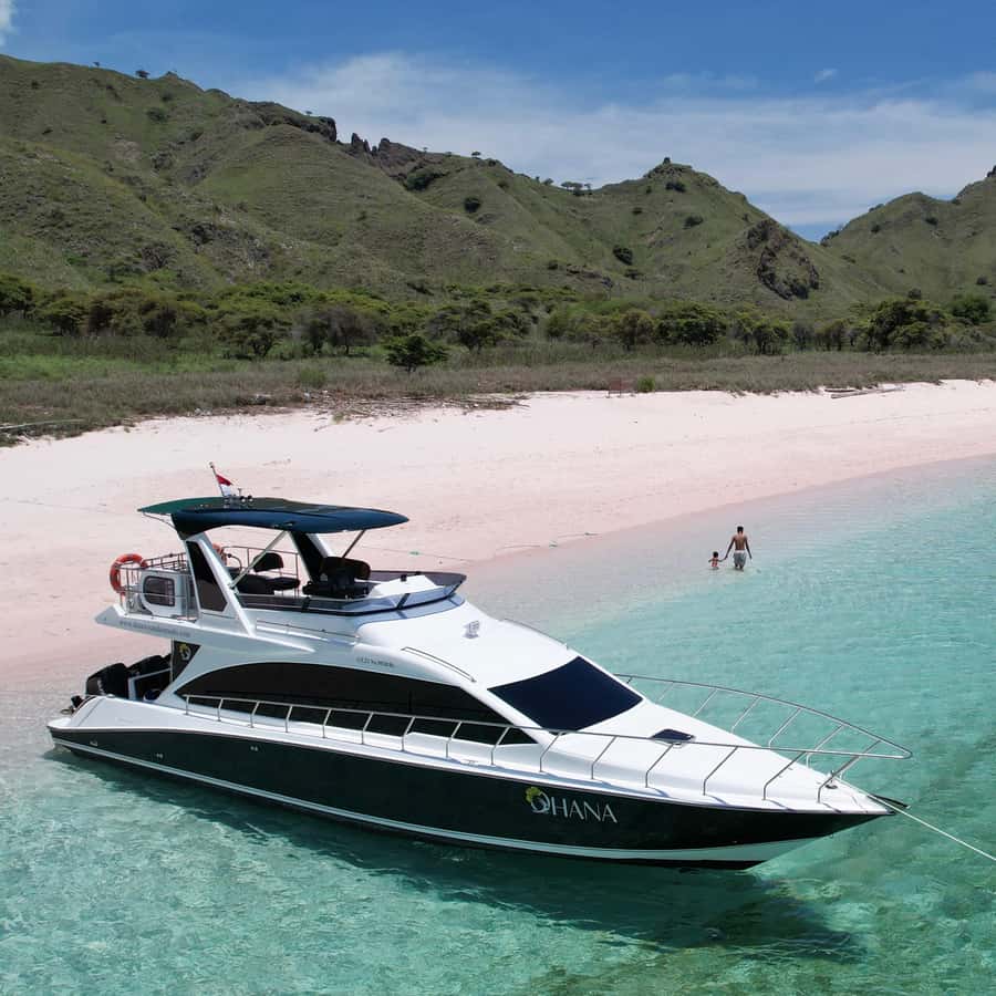 Komodo Full Day Speedboat Tour from Labuan Bajo - Price and Entrance Fees: Is $117 Good Value?