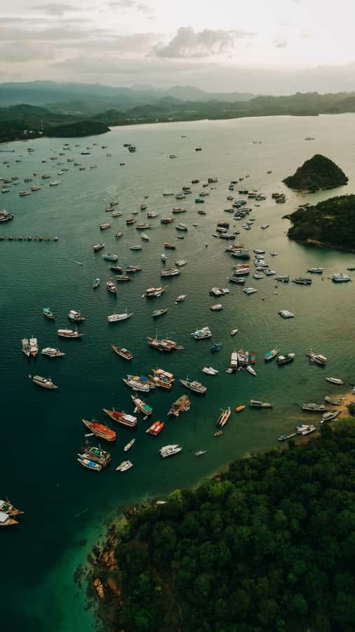 Komodo Full Day Speedboat Tour from Labuan Bajo - Boat Comfort, Timing, and the Shared-Transfer Reality