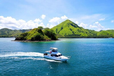 Komodo Island Adventure from Bali (Day Trip) - Komodo Island Trek With a Ranger: Seeing Dragons Up Close (and Close Enough to Respect)