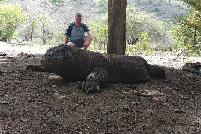 Komodo Island Adventure from Bali (Day Trip) - Time, Food, and Gear: What a 12–15 Hour Day Feels Like