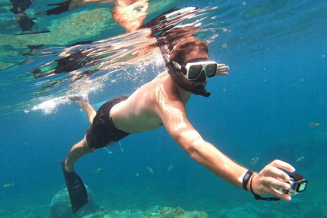 Komodo Island Adventure from Bali (Day Trip) - Price and Value: Is $795 Per Person Actually Worth It?