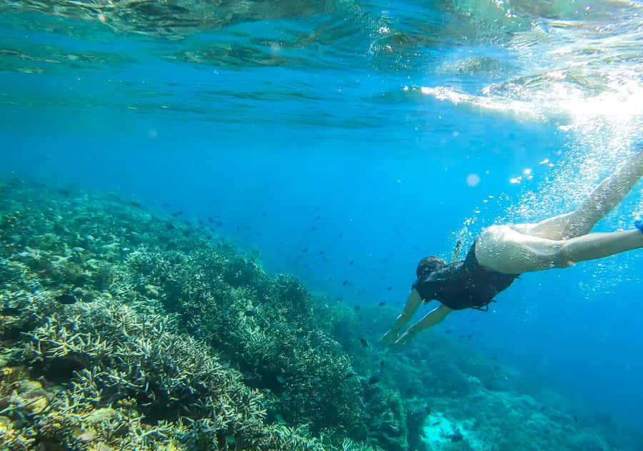 Komodo Island: Private 3-Day Tour with Boat and Hotel Stay - Day 2: Komodo Island trek, Pink Beach time, Kanawa snorkeling, Kalong bats