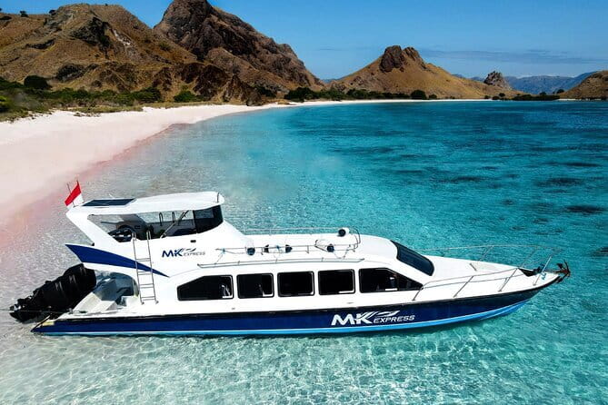 Komodo Islands with Speedboat in Labuhan Bajo - Pink Beach: Swim Time at Sand With a Weird-Pretty Color