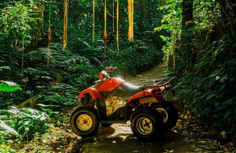 Kuber ATV Bali Through Waterfall and Long Tunnel - Lumbung Sari and Luwak Coffee: What the Tasting Really Adds