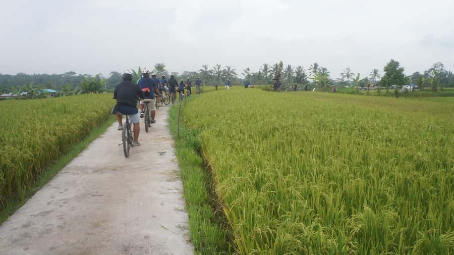 Kuta: Kintamani Culture and Nature Guided Cycling Tour - 22 km Mostly Downhill: What the Ride Really Feels Like