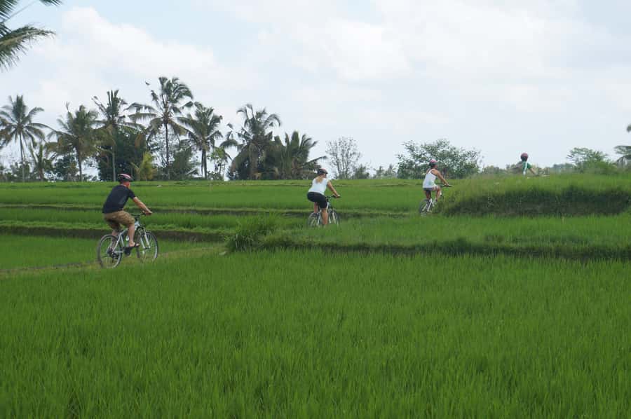 Kuta: Kintamani Culture and Nature Guided Cycling Tour - Getting Started in Abuan Kintamani: Pickup, Bikes, and First Instructions