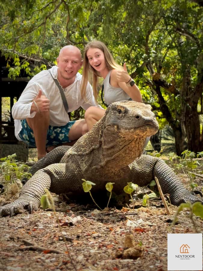 Labuan Bajo: 2D1N Komodo & Pink Beach Shared Boat Tour - Key Things I’d Plan Around