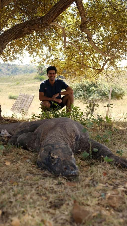Labuan Bajo: 2D1N Komodo & Pink Beach Shared Boat Tour - Overnight on Board: Shared Cabin Comfort, Expectation Setting