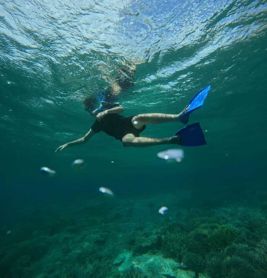 Labuan Bajo: 2D1N Komodo & Pink Beach Shared Boat Tour - How the Day-to-Day Works: Timing, Guidance, and Flexibility