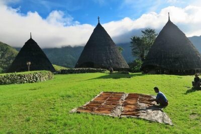 Labuan Bajo Countryside Tour - Golo Lusang to the rainforest: tackling the 14 km trek