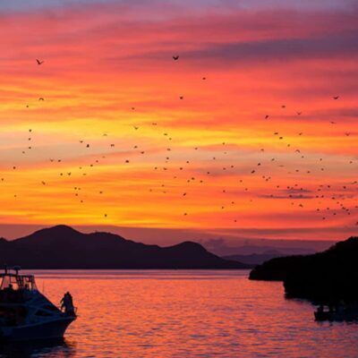 Labuan Bajo Explore 3 Destination (Kelor, Manjarite, Kalong) - Getting There: Pickup, Driver, and Boat Realities