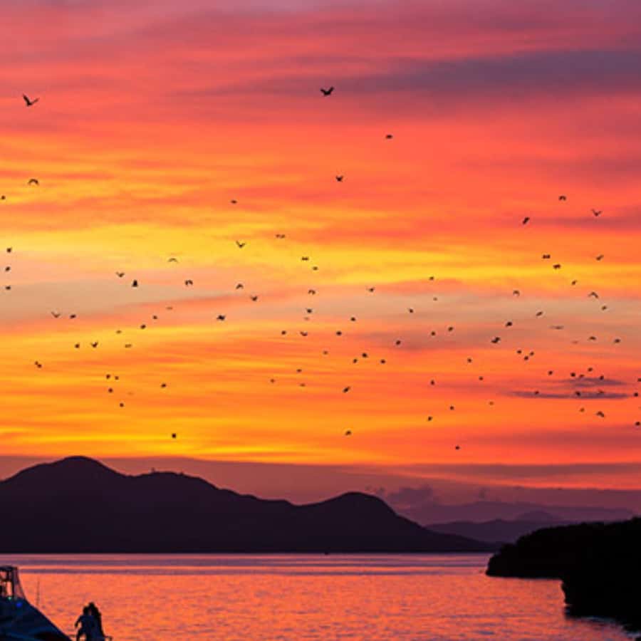 Labuan Bajo Explore 3 Destination (Kelor, Manjarite, Kalong) - Should You Book This Labuan Bajo 3 Destination Tour?