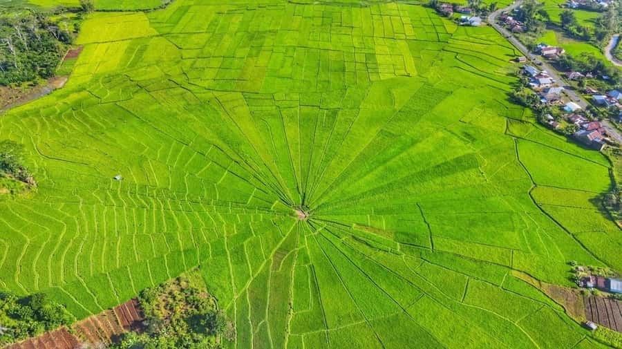 Labuan Bajo: Exploring Wae Rebo Village 2-Day Tour - Why Wae Rebo Village feels different from most West Flores stops