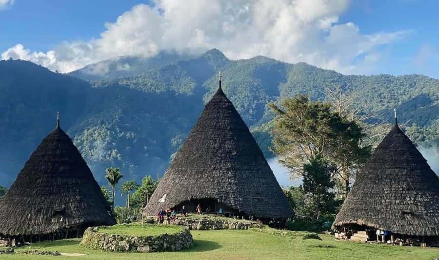 Labuan Bajo: Exploring Wae Rebo Village 2-Day Tour - Is $154 a fair deal for a 2-day Wae Rebo tour?