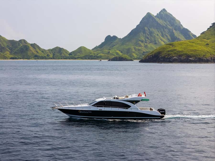 Labuan Bajo: Komodo National Park Full-Day Speedboat Tour - Key highlights that make this tour worth your time
