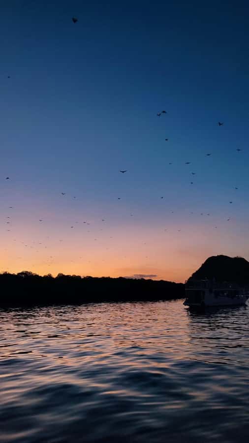 Labuan bajo: One Day Komodo Private & Shared Speedboat Trip - Beach Lunch Near Komodo: The Meal Break You’ll Actually Appreciate