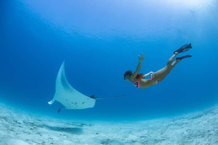 Labuan Bajo: Swim and Snorkel Komodo Island Trip with Lunch - Kanawa Island Snorkeling: Where the Day Feels Like It Slows Down