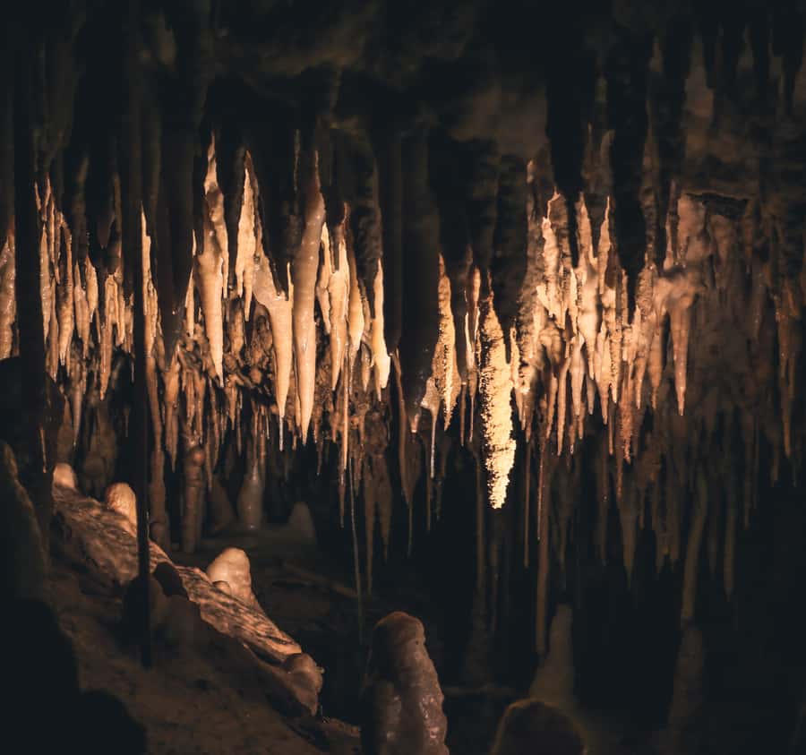 Labuan Bajo:Batu Cermin, Rangko Cave, Sylvia Hill & Waringin - Key things to know before you go