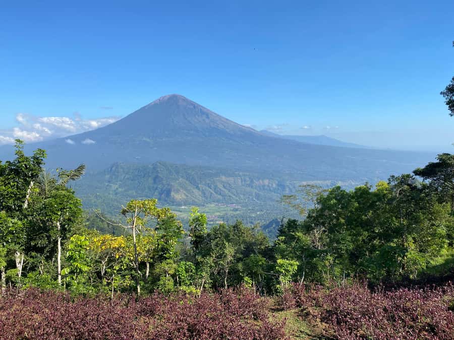 Lahangan Sweet, Tirta Gangga & Virgin Beach - East Bali in one day: why this combo works