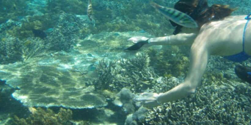 Lembongan : Fully enjoy! Snorkeling, Sightseeing /1day tour - Mangrove forest tour: nature with fewer crowds