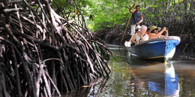 Lembongan : Fully enjoy! Snorkeling, Sightseeing /1day tour - Price and value: what $91 buys you in reality