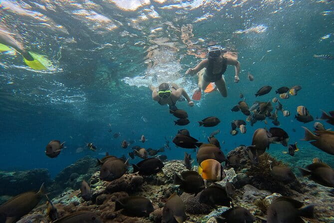 Lembongan Snorkeling at Manta Bay, Crystal Bay and Mangrove - Manta Bay first: how the trip boosts your odds