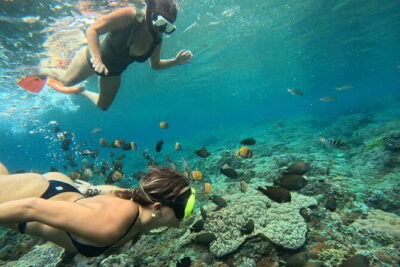 Lembongan Snorkeling at Manta Bay, Crystal Bay and Mangrove - Gear is handled: what’s included for snorkeling
