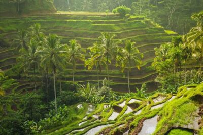 Lempuyang Temple and Bali Instagramable Tour - How much is $90 really worth for a 10–11 hour private tour