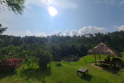 Lemukih Hidden Trekking Waterslide Sekumpul and Fiji Waterfall - What the 8 hours feels like on the ground (and why duration isn’t misleading)