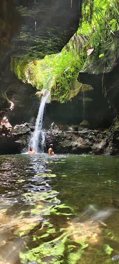 lombok : black monkey , rice terace ,waterfall tetebatu - Tetebatu in West Lombok: why this day feels like more than a stop-and-take-photos