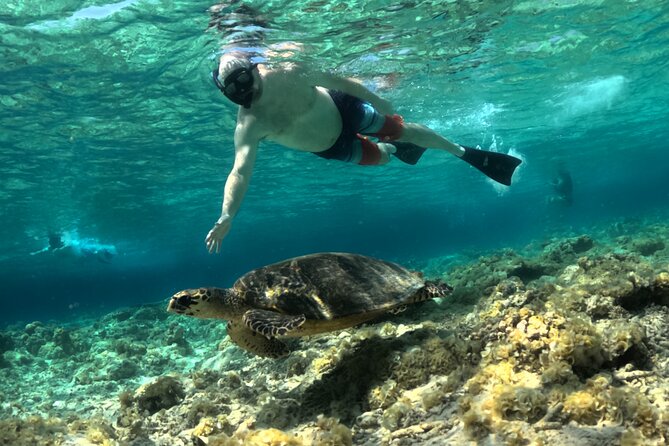 Lombok Driver Customizable Tour Private - Price and logistics: what $95 covers, and what costs extra