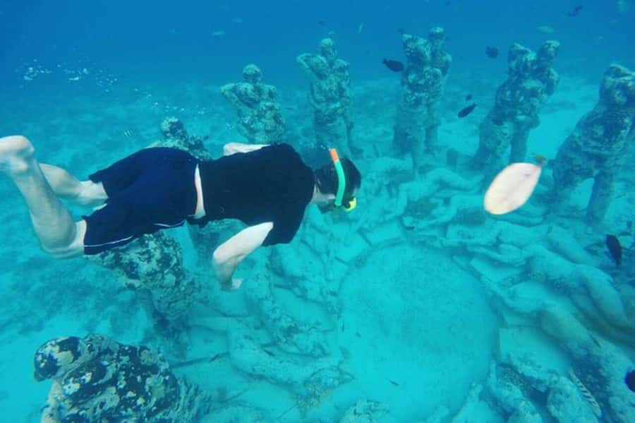 Lombok : Gili Islands Private Snorkeling Tour - Key Highlights at a Glance